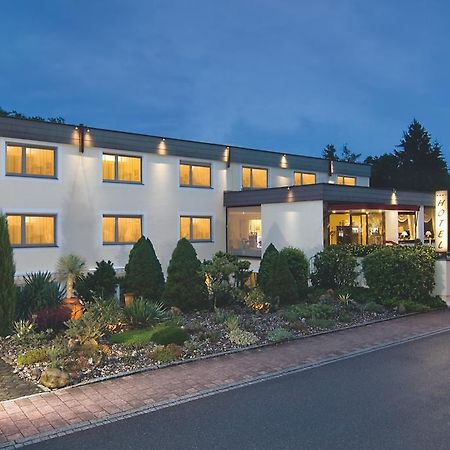 Hotel Ambiente Бад-Беллинген Экстерьер фото